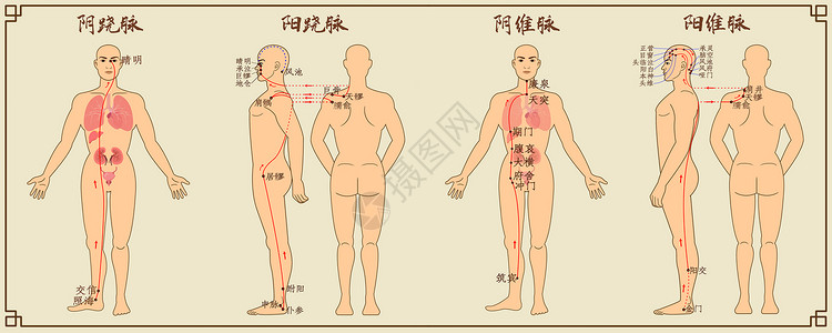 养生经络奇经八脉中医经络图二插画