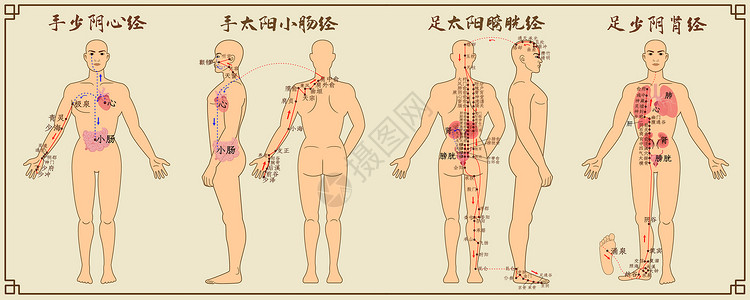 十二经脉中医经络图二背景图片