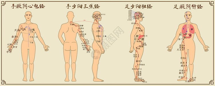 人体经脉图十二经脉中医经络图三插画