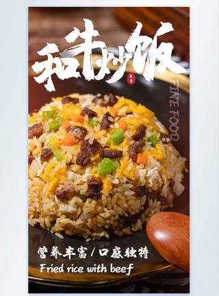 鱼香肉丝炒饭和牛炒饭炒饭摄影图海报模板