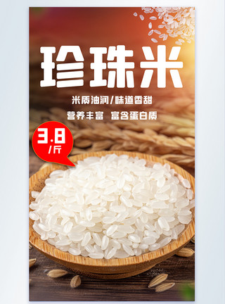粳稻珍珠米大米摄影图海报模板