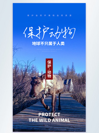 四不伤害保护动物地球不只属于人类宣传摄影图海报模板