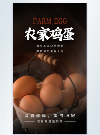 鸡蛋蛋农家鸡蛋摄影图海报模板