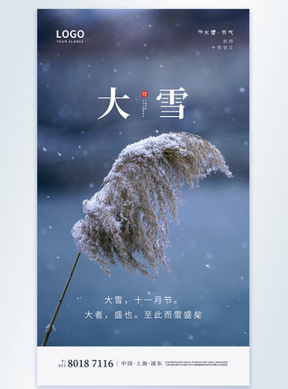 冬天芦苇大雪节气摄影图海报模板