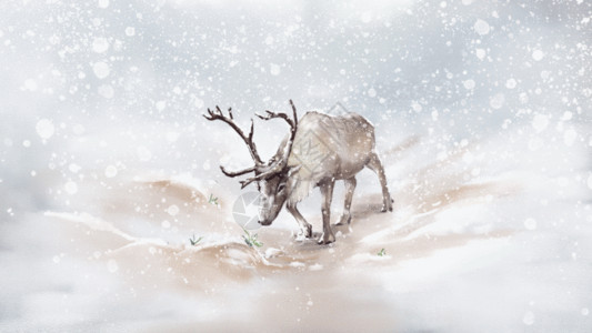 北欧风效果图雪地麋鹿GIF高清图片
