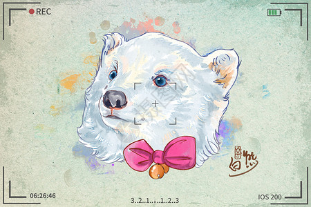 温室动物北极熊水彩明信片插画插画