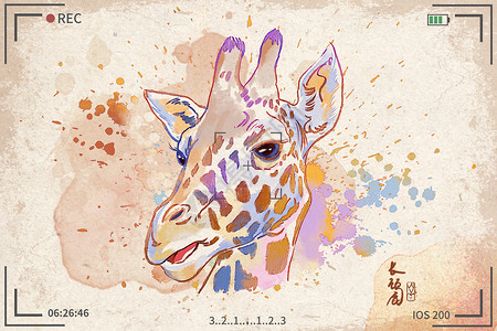长颈鹿水彩明信片插画背景图片