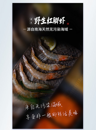 脚男野生红脚虾摄影图海报模板