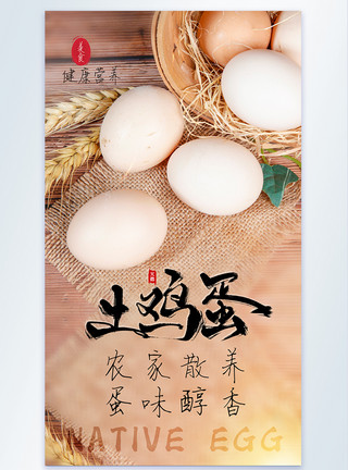 草发芽农家土鸡蛋美食食材摄影图海报模板