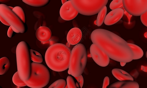 血红细胞图片