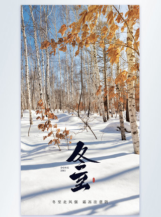 冬至风景简约冬至24节气摄影图海报模板
