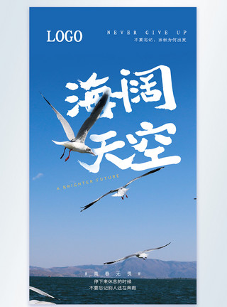 鸟类阿德勒海阔天空摄影图海报模板