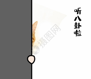 虎斑卡通可爱猫咪GIF高清图片