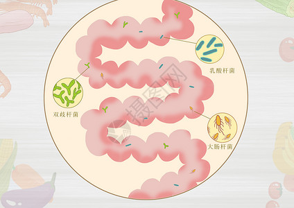 很多水果肠道益生菌医疗健康插画插画