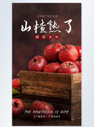 成熟的水果山楂熟了美食摄影图海报模板