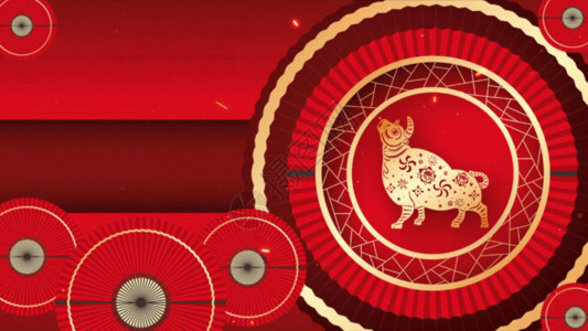 春节包饺子的视频喜庆红色2021牛年新年视频GIF高清图片