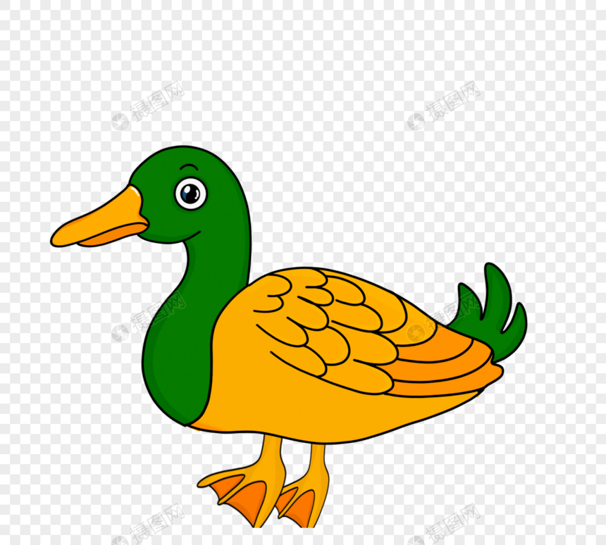 手绘绿色鸭子图片