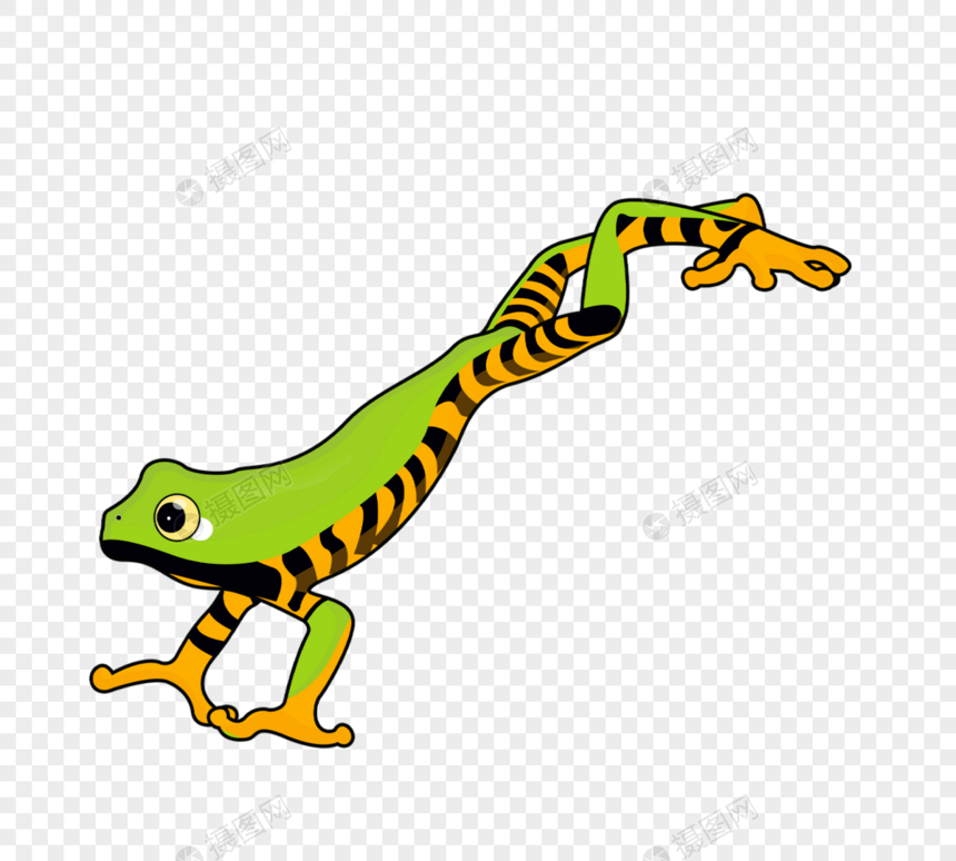 绿色条纹树蛙元素图片