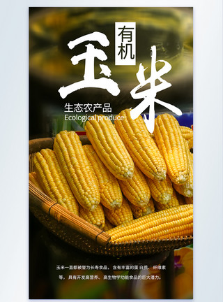 蛋黄玉米包玉米有机农产品摄影图海报模板