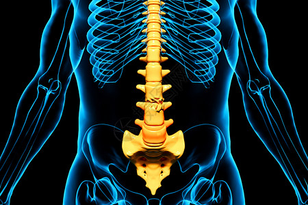人体腰椎骨折图片