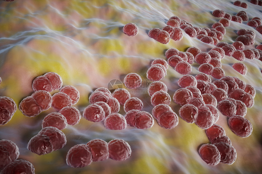 C4D肠道细胞场景图片
