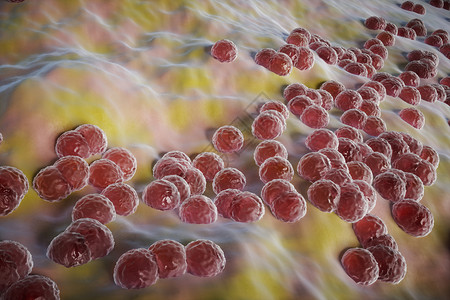 C4D肠道细胞场景图片