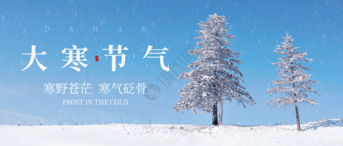 雪天里松树林二十四节气大寒微信封面gif动图高清图片