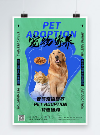 宠物猫春节宠物寄养海报模板