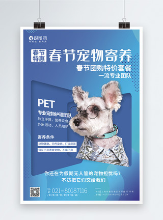 猫咪吃饭春节宠物寄养促销团购海报模板