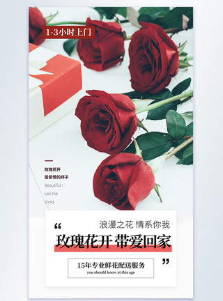 情人节预定简约清新文艺玫瑰摄影图海报模板