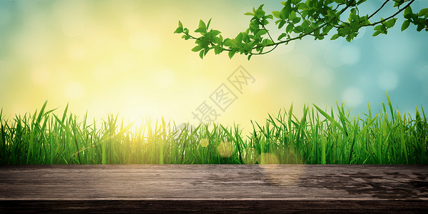 环保木板绿色春天背景设计图片