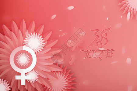 粉色小雏菊花卉38妇女节设计图片