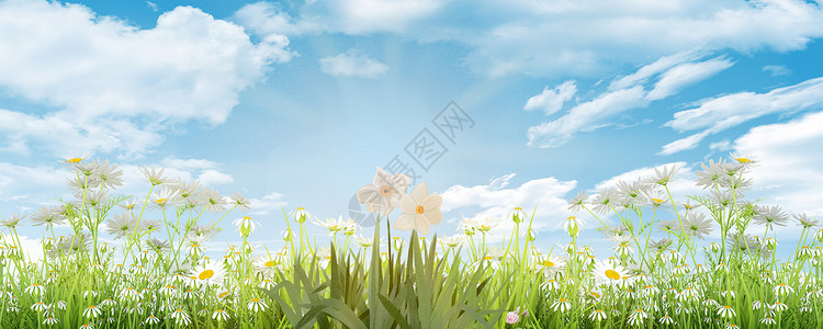 自然花草春天背景设计图片