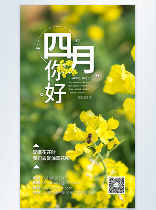 油菜花赏花海报油菜花摄影图海报模板