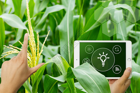 平板灯科技农业设计图片
