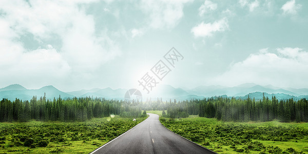 绿色户外的春天公路背景设计图片