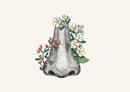 鼻子和花卉器官插画图片素材