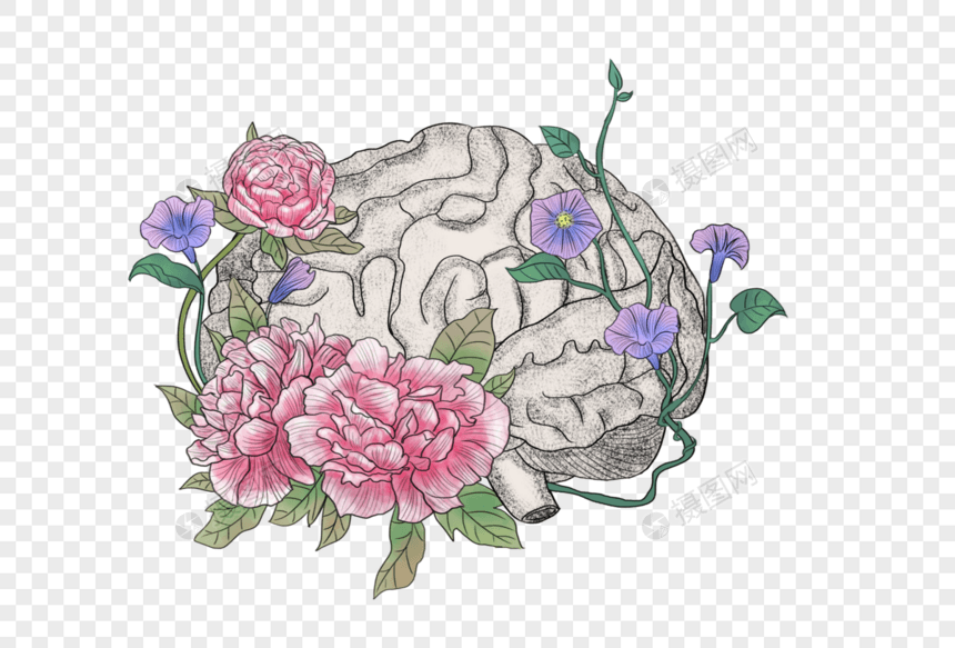 大脑和花卉图片