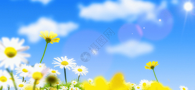 日本春花卉蓝天背景gif动图高清图片