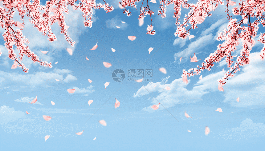 春季樱花GIF图片