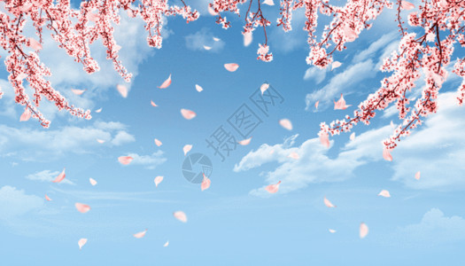春季天空春季樱花GIF高清图片