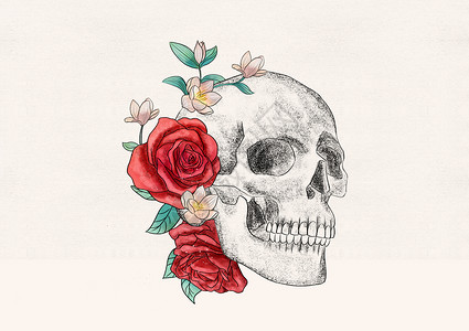 头骨和花卉器官插画背景图片