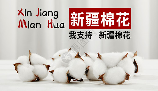 支持新疆棉花背景图片