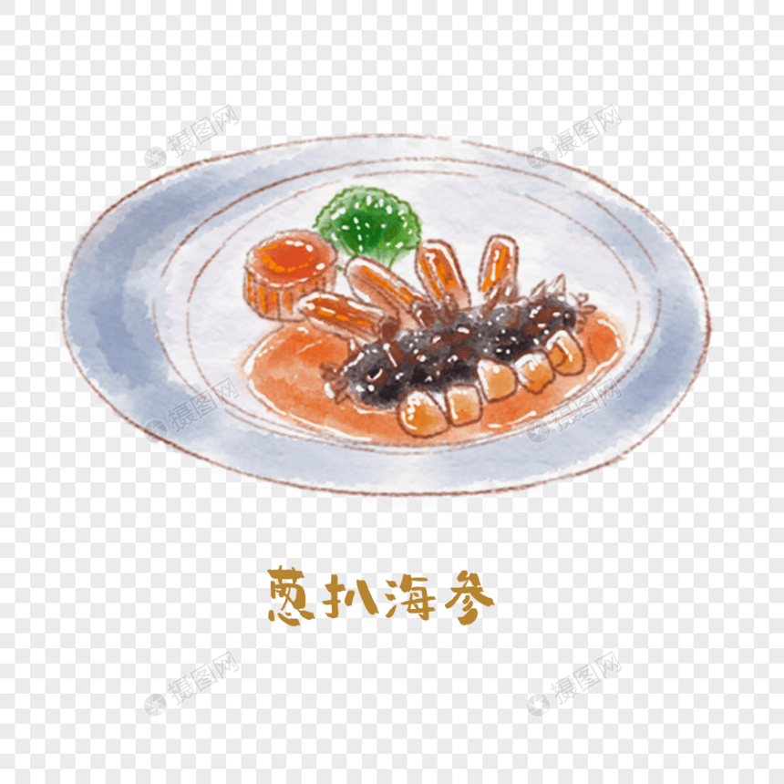 葱烧海参鲁菜手绘美食图片