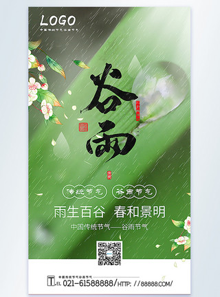 字魂35号经典雅黑谷雨节气摄影图海报模板