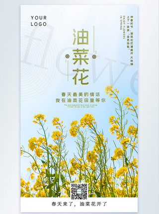 油菜花摄影油菜花春季赏花摄影图海报模板