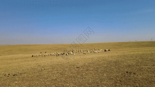 平坦大草原初春的鄂尔多斯大草原GIF高清图片