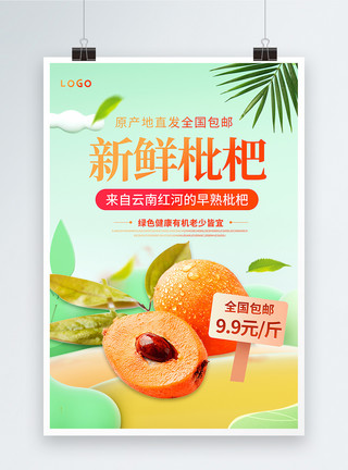 农产品营销新鲜枇杷上市促销海报模板