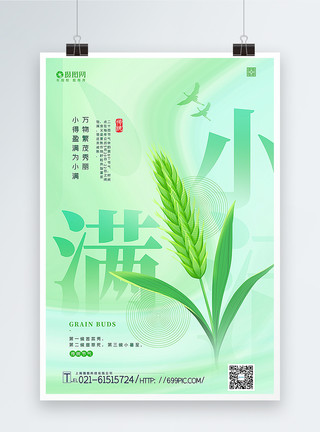 小麦苗绿色清新小满节气海报模板