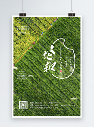 芒种时节水稻创意二十四节气芒种时节海报模板